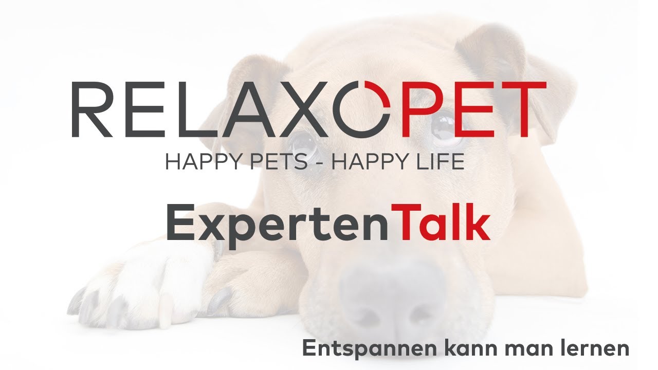Expert Talk No.7 - You can learn to relax