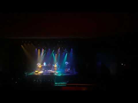 Flor de invierno - Milena Salamanca y Esteban Lazarte