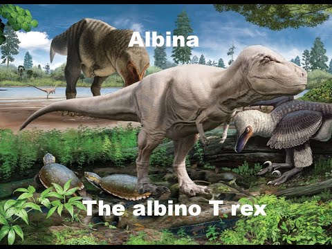 The Story of Albina the albino T rex
