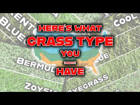 Stop! Identify your GRASS TYPE with these 3 SIMPLE steps! Your lawn care journey must begin here!
