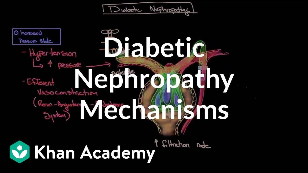 Diabetic nephropathy - Mechanisms | Endocrine system diseases | NCLEX-RN | Khan Academy