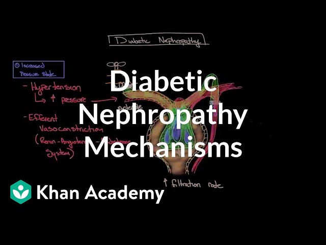 Pronúncia de vídeo de nephropathy em Inglês