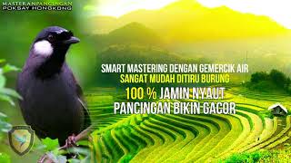 Download lagu 1 JAM SAJA! 100% MUDAH DITIRU POKSAY HONGKONG MALAS BUNYI IKUT NYAUT DAN GACOR mp3 Download lagu 1 JAM SAJA! 100% MUDAH DITIRU POKSAY HONGKONG MALAS BUNYI IKUT NYAUT DAN GACOR mp3