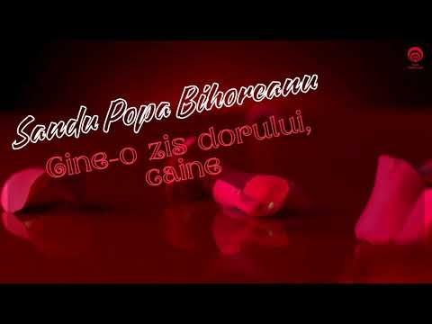 Sandu Popa Bihoreanul - Cine-o zas dorului, câine