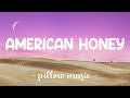 American Honey - Lady Antebellum (Lyrics) 🎵