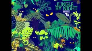 Jungle By Night - Afro Blue