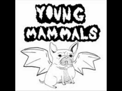 Young Mammals - Mosquitobot