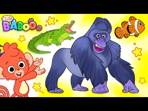 Learn Animals for Kids | Animal videos Compilation for Children | Gorilla and more | Club Baboo