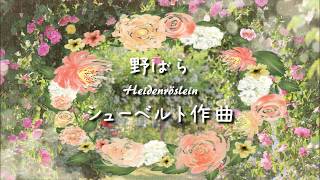 Download lagu シューベルト 野ばら Heidenröslein【ドイツリート/字幕で聴く歌曲】 mp3