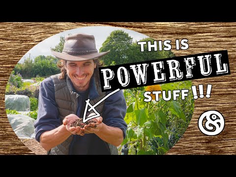 How to Make the ULTIMATE Compost with Worms | The Bathtub Method