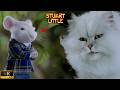 Stuart S Brave Escape From Snowbell Smokey Stuart Little 1999
