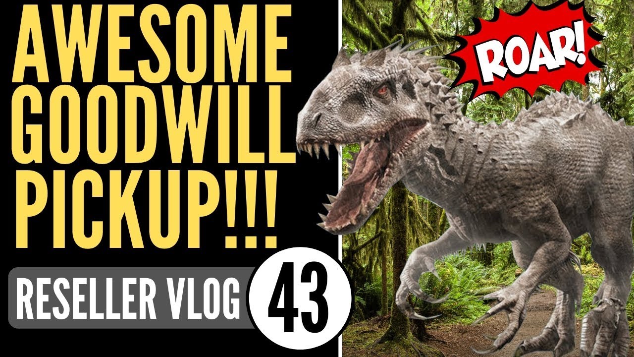 Score! What to Look for at Goodwill and Thrift Stores To Sell on eBay and Amazon FBA