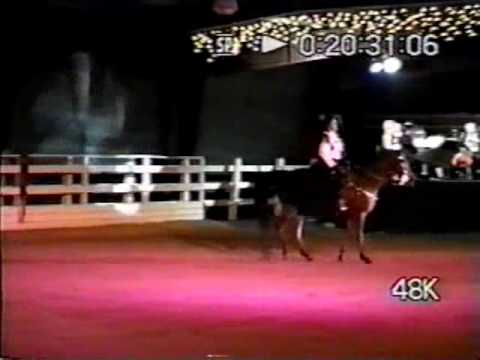 Pamela South (astride a stallion!!) - Czardas