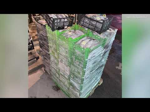 ԱԱԾ-ն բացահայտել է Սևանա լճից շուրջ 127 տոննա ձկների ապօրինի արդյունահանման հանցավոր սխեմա