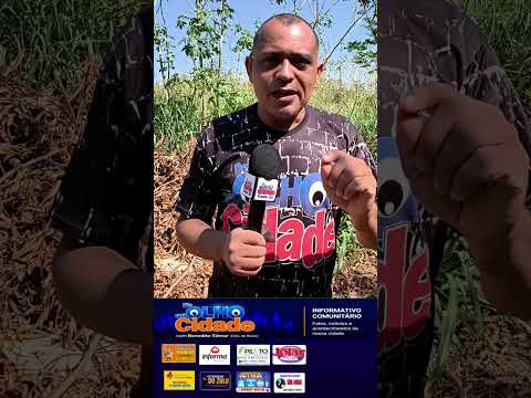 Moradores ainda aguardam solução para lixo, entulho e mato alto na estrada de acesso às moradias