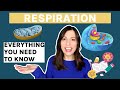 AQA A Level Biology Respiration Learn The Entire Topic In One Video Aerobic Anaerobic