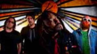 Skindred Rude boy for life