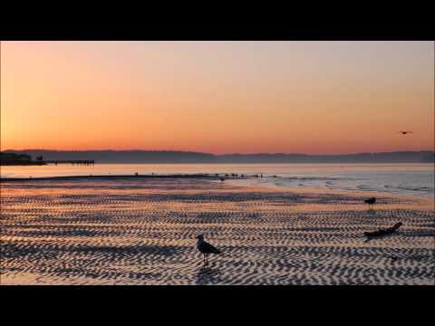 Oral Deep - Fortress