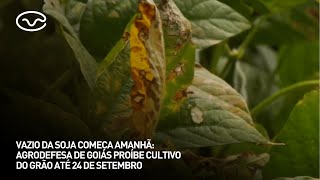 Miniatura do vídeo