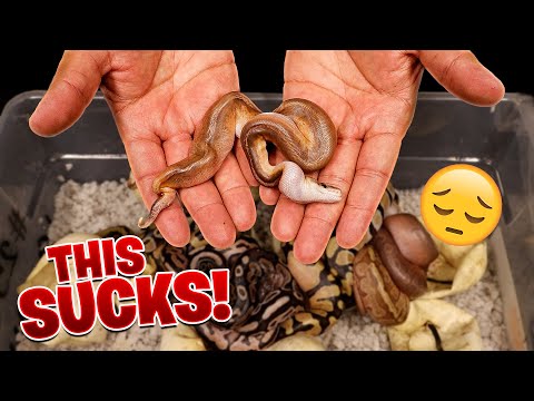 I Can’t Believe This Happened!