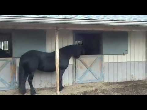comment ouvrir un gite equestre