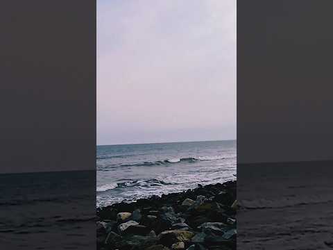 Enjoying sea beach with Arijit Singh song #shorts #beach #song