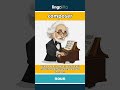 composer (noun) - definition and usage in English