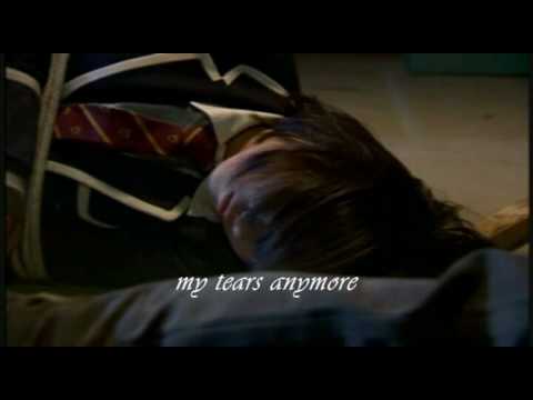 Starlight Tears By Kim Yoo Kyung