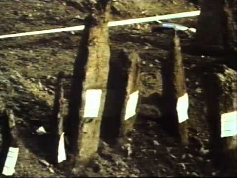 Excavations at Billingsgate Market (BIG82) 1982