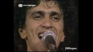 VOCÊ NÃO ENTENDE NADA - CAETANO VELOSO