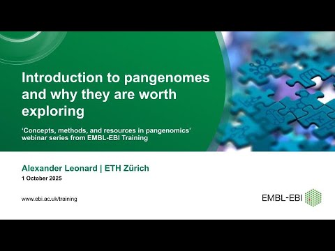 Introduction to pangenomes and why they are worth exploring