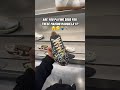 Would You Pay $650 For These? 🤔🤔🤔 #sneakers #sneakerhead #shoes #maisonmargiela #designer