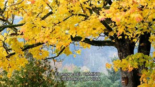 Love Never Fails - Brandon Heath - Subtitulado