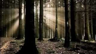 Swirls of Chaos:   "The Shadow" by Rob and Goldie