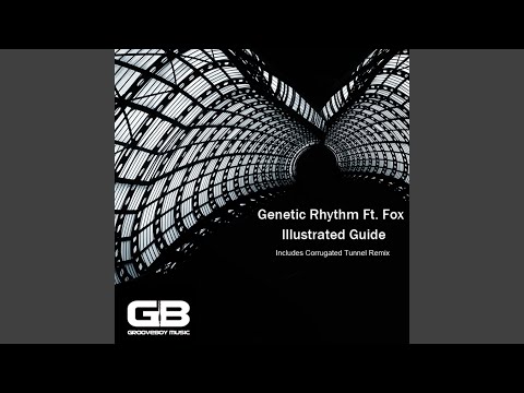 Illustrated Guide (Original)