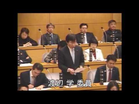 2017年第1回川崎市議会での質問（動画）