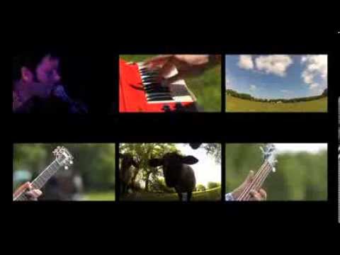 The Dials - Rose Marie