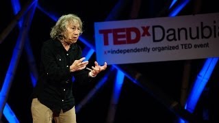 What does It all mean?: Emily Levine at TEDxDanubia 2014