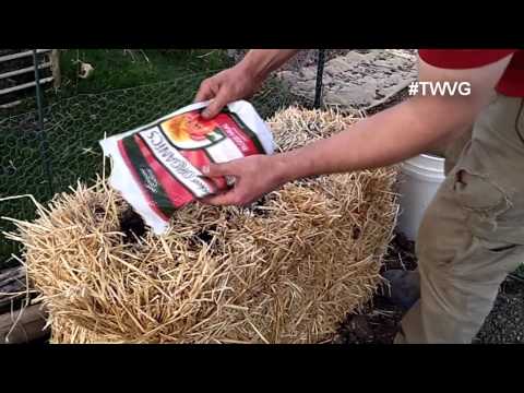 Prepping for a Straw Bale Garden Quick Tip