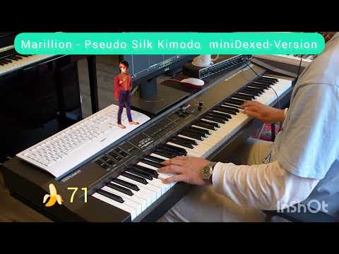 miniDexed Pseudo Silk Kimono from Marillion