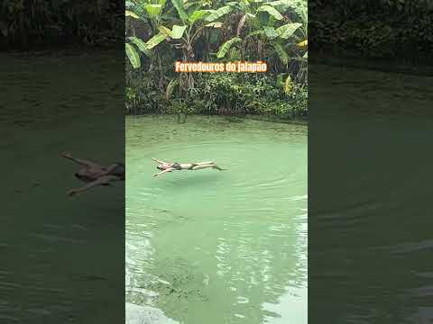 Fervedouro alecrim. São Félix do Tocantins