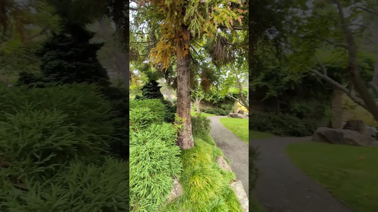 YouTube Short thumbnail