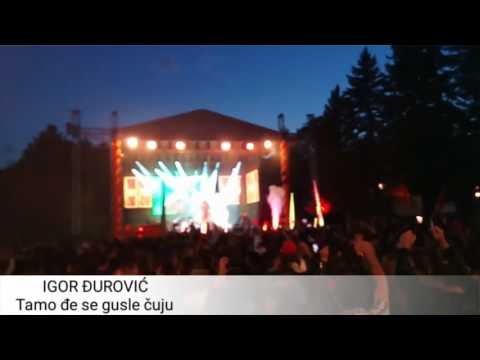 Igor Djurovic - Tamo dje se gusle cuju (LIVE)
