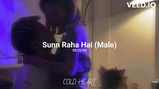 Download lagu Sunn Raha Hai Ankit Tiwari COLD HEART... mp3