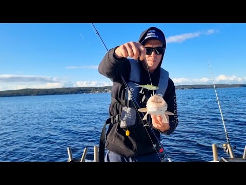 lure fishing Lake macquarie (mysterious bubbles found)