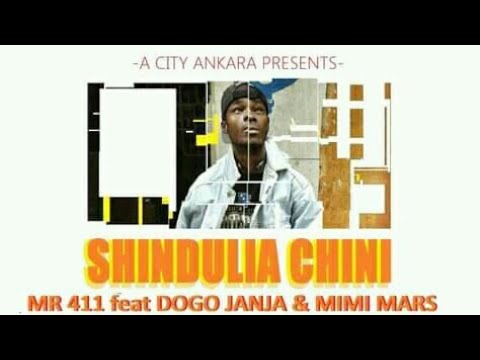 Mr 411 feat DOGO JANJA & MIMI MARS - SHINDULIA CHINI REMIX