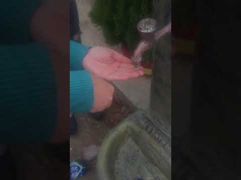 yuvadan duşen minik kuşa yardim etmek dunyanin en guzel şeyi