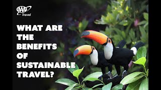 What are the Benefits of Sustainable Travel?