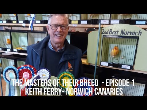 The Masters of their Breed - The Norwich Canary & Keith Ferry