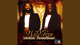 Wild Fire (2009 Extended Version)